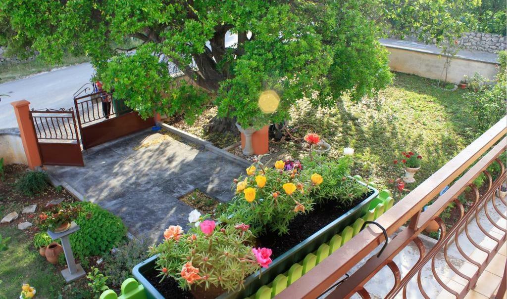 Apartmani Volga Петрчане Екстер'єр фото