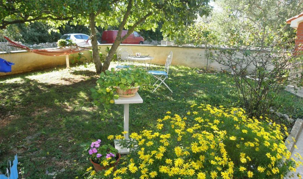 Apartmani Volga Петрчане Екстер'єр фото